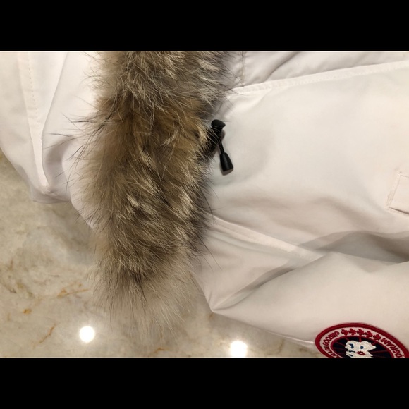 Authentic Canada Goose Bomber - Picture 3 of 11